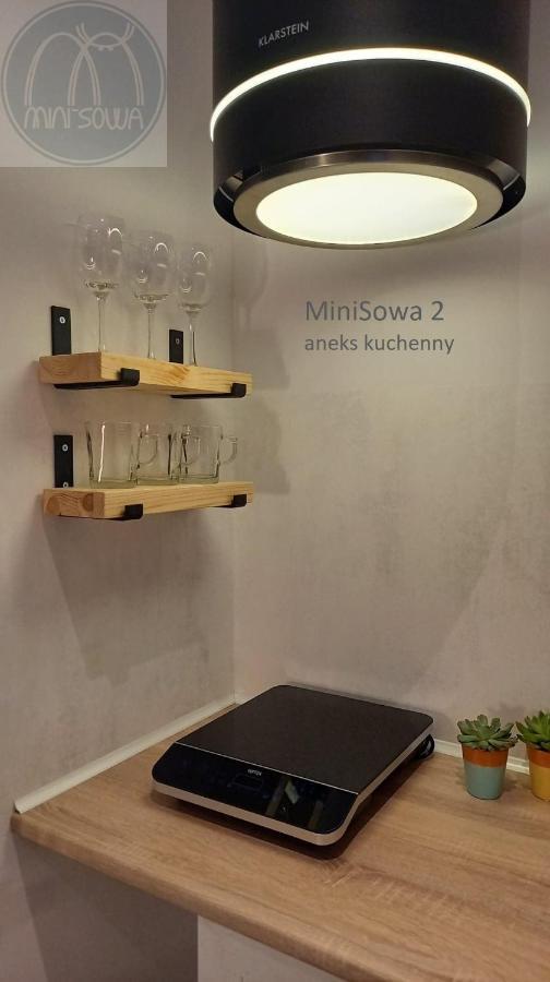 Minisowa Apartment Jedlina-Zdroj Luaran gambar