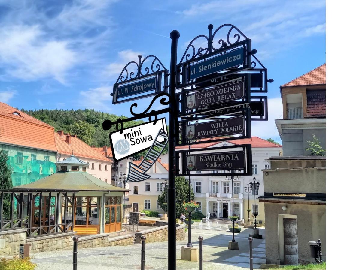 Minisowa Apartment Jedlina-Zdroj Luaran gambar
